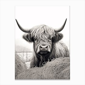 Highland Cow In The Hay 2 Canvas Print