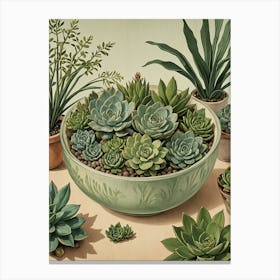 Succulents In A Bowl no2 Canvas Print