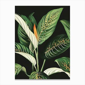 Tropical Leaves Canvas Print Canvas Print