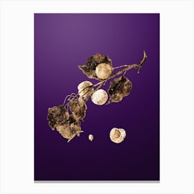 Gold Botanical Peach on Royal Purple n.2753 Canvas Print