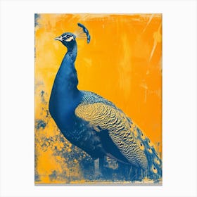 Orange & Blue Peacock Portrait 2 Canvas Print