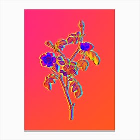 Neon Pink Austrian Copper Rose Botanical in Hot Pink and Electric Blue Canvas Print