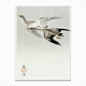 Great Geese, Flying In The Snow (1900 1910), Ohara Koson Canvas Print