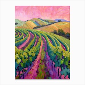 Vineyards At Sunset Canvas Print