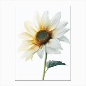 Sunflower 4 Canvas Print