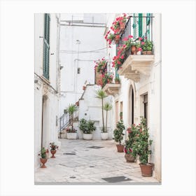 Street With Flowers Canvas Print
