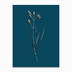 Vintage Amaryllis Montana Black and White Gold Leaf Floral Art on Teal Blue n.0436 Canvas Print