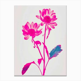 Hot Pink Asters 3 Canvas Print