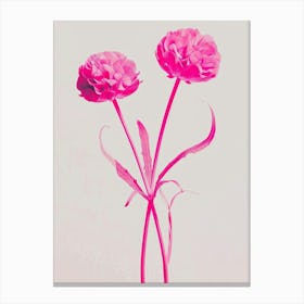 Hot Pink Globe Amaranth Canvas Print