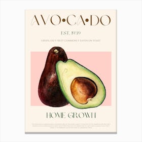 Avocado Fruit Mid Century Canvas Print