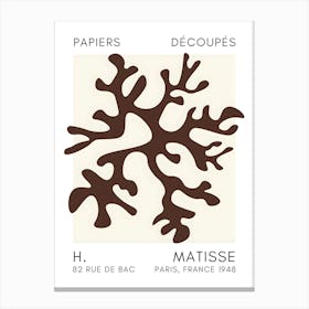 Matisse 34 Canvas Print