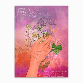 Aquarius Healing Herbs Canvas Print
