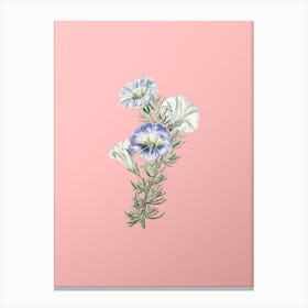 Vintage Sky Blue Alona Flower Botanical on Soft Pink n.0494 Canvas Print