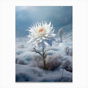 Beautiful Winter Flower 7 Canvas Print