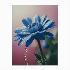 Blue Flower With Water Droplets Canvas Print