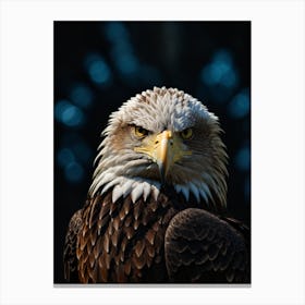 Bald Eagle Art Print 1 Canvas Print