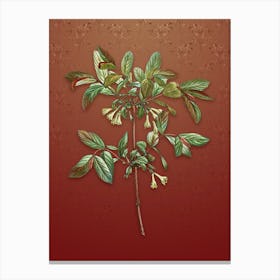 Vintage Honeyberry Flower Botanical on Falu Red Pattern n.0977 Canvas Print