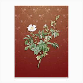 Vintage White Downy Rose Botanical on Falu Red Pattern n.0845 Canvas Print