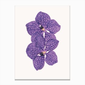 Flower VI Canvas Print