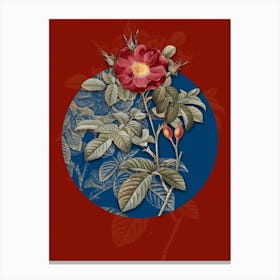 Vintage Botanical Red Portland Rose on Circle Blue on Red n.0031 Canvas Print