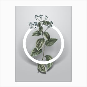 Vintage New Jersey Tea Minimalist Flower Geometric Circle on Soft Gray n.0464 Canvas Print