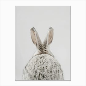 Rabbit back Canvas Print