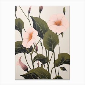 Flower Illustration Morning Glory 1 Canvas Print