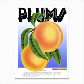 Plums Graphic Wall Art Vintage Unique Eclectic Canvas Print