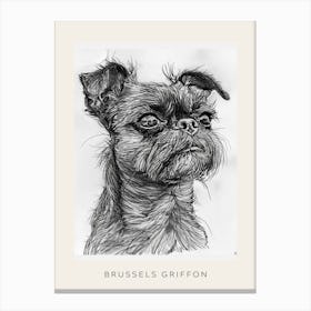 Brussels Griffon Line Sketch 1 Poster Canvas Print