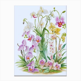 Beautiful Orchids 2 Canvas Print