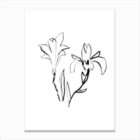 Lily Of The Valley 7 Canvas Print