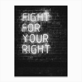 Fight For Your Right Canvas Print