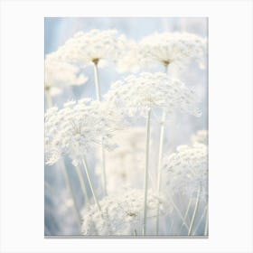 Frosty Botanical Queen Annes Lace 8 Canvas Print