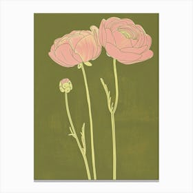 Pink & Green Ranunculus 1 Canvas Print