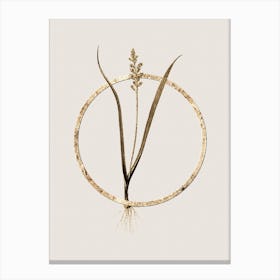 Gold Ring Lachenalia Pallida Glitter Botanical Illustration n.0218 Canvas Print
