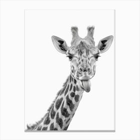 Giraffe 22 Canvas Print