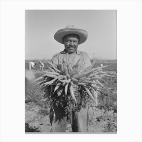 Untitled Photo, Possibly Related To Mexican Carrot Worker, Edinburg, Texas By Russell Lee Canvas Print