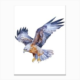 Eagle In Flight.4 Canvas Print
