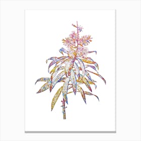 Stained Glass Pleomele Mosaic Botanical Illustration on White n.0237 Canvas Print