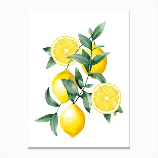 Lemon Watercolor Canvas Print