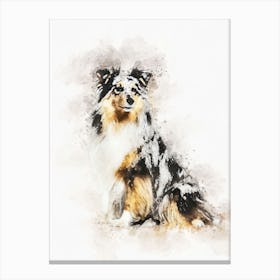 Shetland Sheepdog Canvas Print