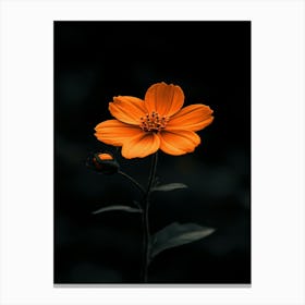 Orange Flower 13 Canvas Print