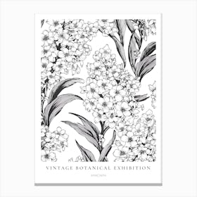 Hyacinth B&W Vintage Botanical Poster Canvas Print