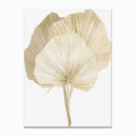 Ginkgo Leaf Canvas Print