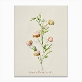 Vintage Botanical Macaroons 01 Canvas Print