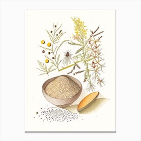 Mustard Seeds Spices And Herbs Pencil Illustration 7 Canvas Print