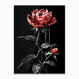 Peony 21 Canvas Print