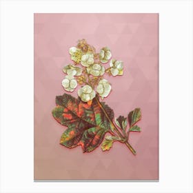 Vintage Oakleaf Hydrangea Botanical Art on Crystal Rose Canvas Print