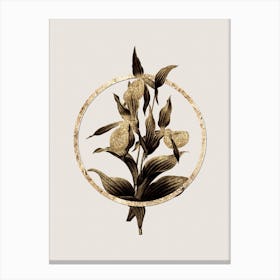 Gold Ring Sabot des Alpes Glitter Botanical Illustration Canvas Print