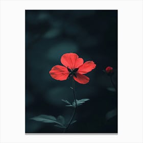 Dark Red Flower 3 Canvas Print